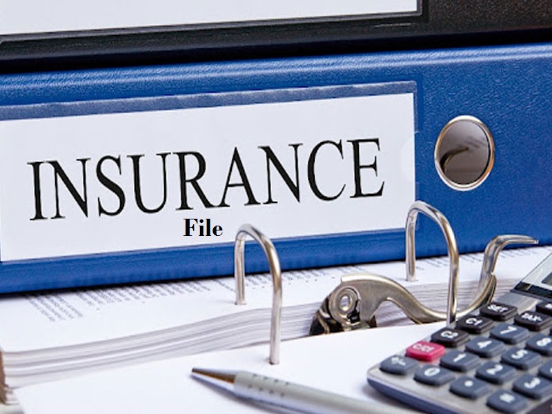 How Important to have Budget Insurance Contact Number