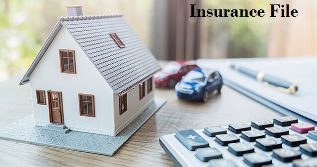 Understanding Long-term Insurance and Policy