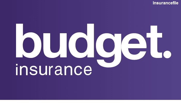 A Comprehensive Guide to Understanding Budget Insurance
