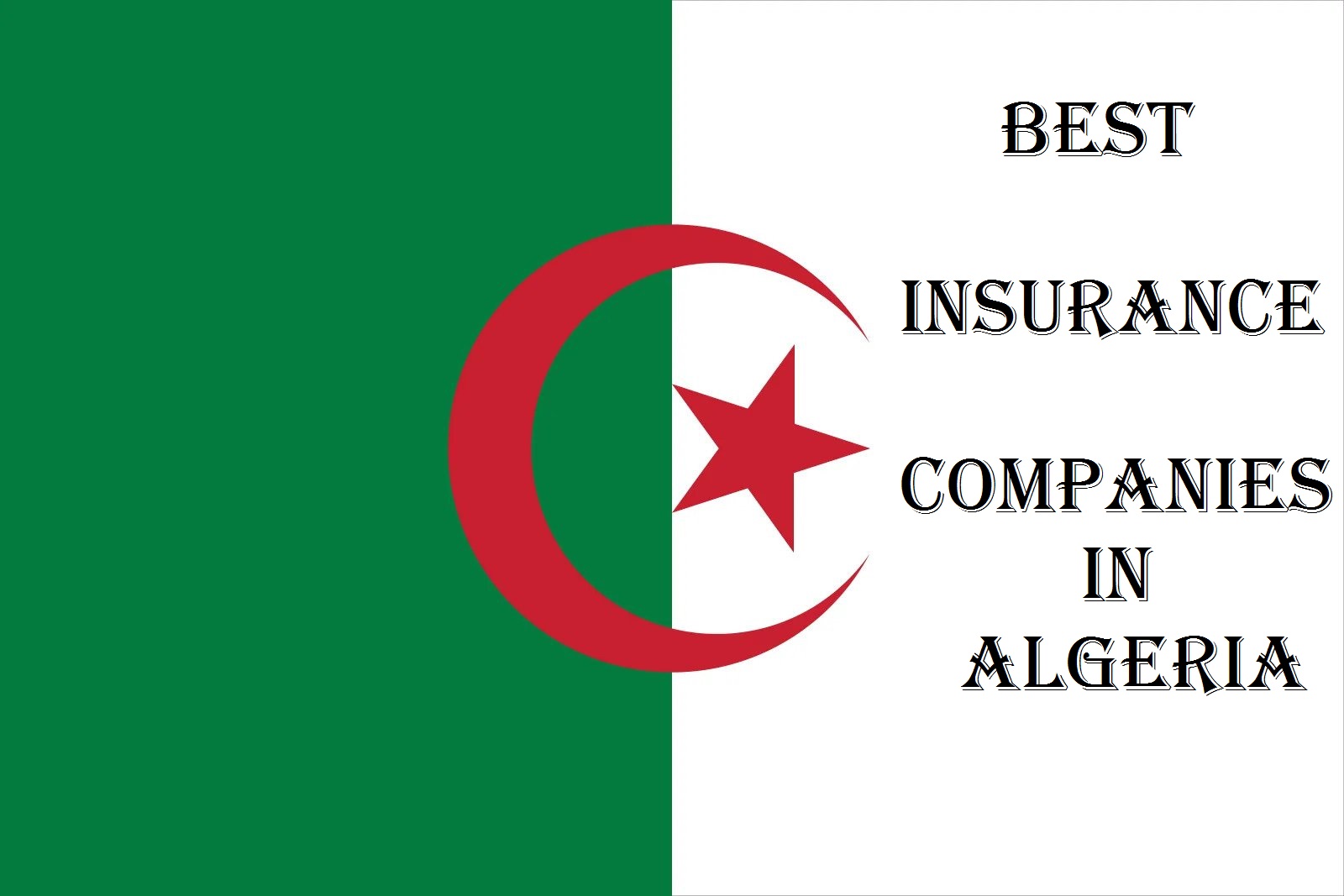 Best Insurance Companies in Algeria: Safeguarding Your Future