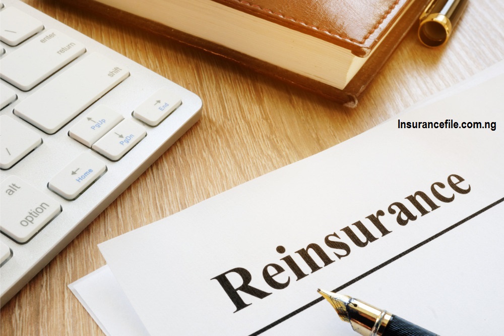A Comprehensive Guide to Excess Insurance and Reinsurance