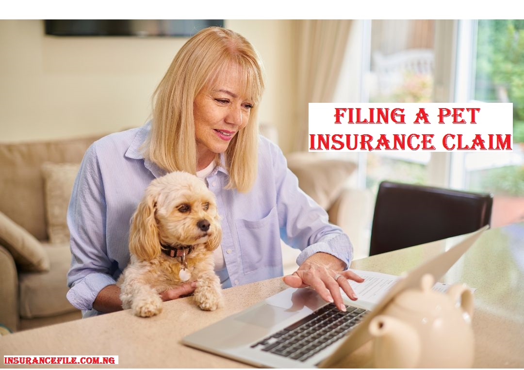 Guide on Filing a Pet Insurance Claim | Application Process